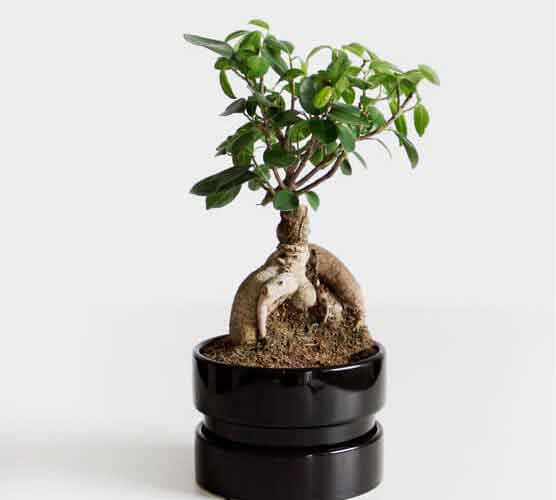 ip攻击器网页版ddos