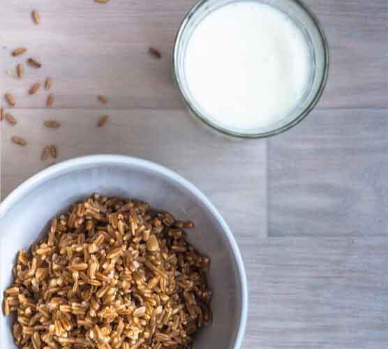 网站攻击工具手机版